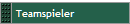 Teamspieler